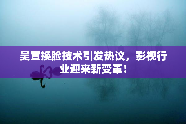 吴宣换脸技术引发热议，影视行业迎来新变革！