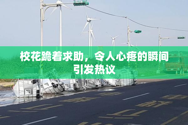 校花跪着求助，令人心疼的瞬间引发热议