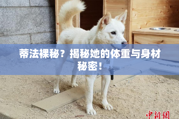 蒂法裸秘？揭秘她的体重与身材秘密！