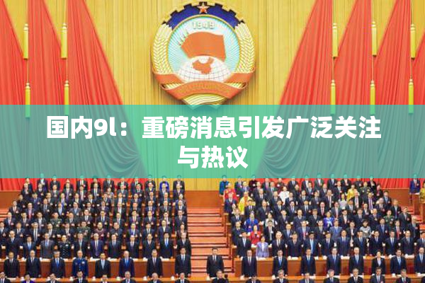 国内9l：重磅消息引发广泛关注与热议