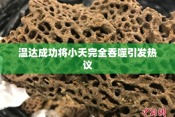 温达成功将小天完全吞噬引发热议
