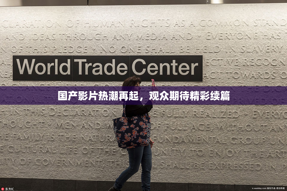国产影片热潮再起，观众期待精彩续篇