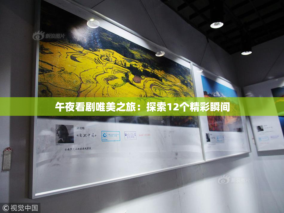 午夜看剧唯美之旅：探索12个精彩瞬间