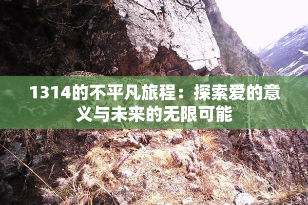 1314的不平凡旅程：探索爱的意义与未来的无限可能