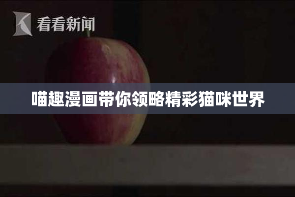 喵趣漫画带你领略精彩猫咪世界