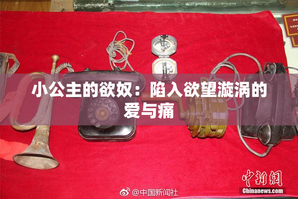 小公主的欲奴：陷入欲望漩涡的爱与痛