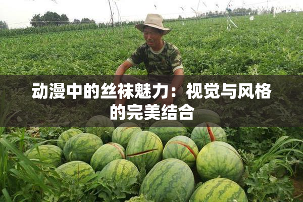 动漫中的丝袜魅力：视觉与风格的完美结合
