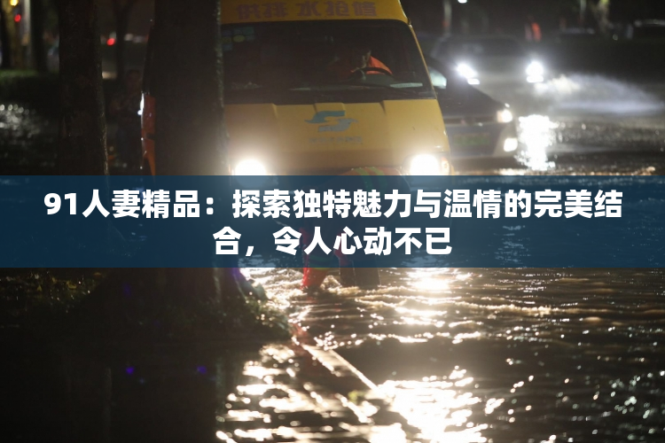 91人妻精品：探索独特魅力与温情的完美结合，令人心动不已