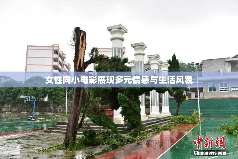 女性向小电影展现多元情感与生活风貌