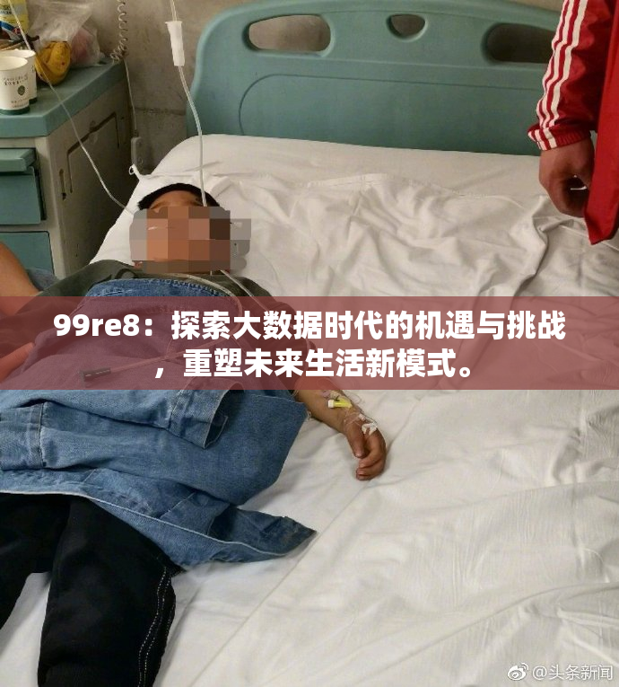 99re8：探索大数据时代的机遇与挑战，重塑未来生活新模式。
