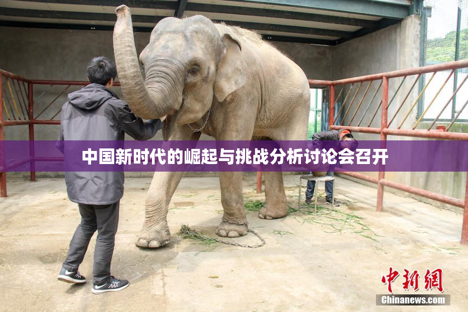 中国新时代的崛起与挑战分析讨论会召开