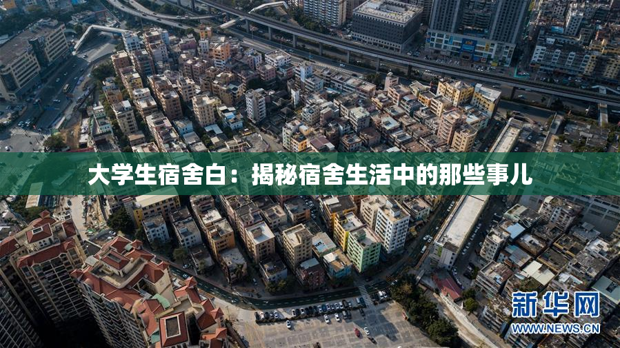大学生宿舍白：揭秘宿舍生活中的那些事儿