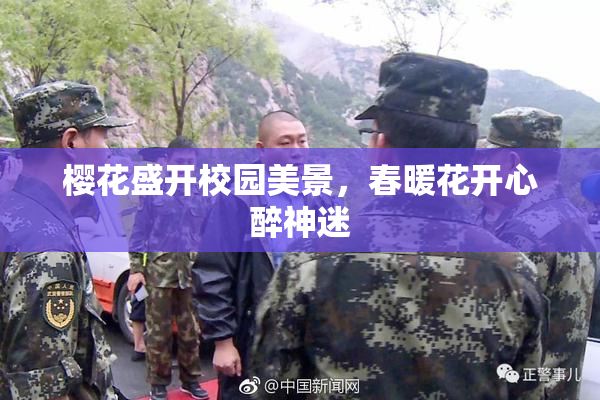 樱花盛开校园美景，春暖花开心醉神迷