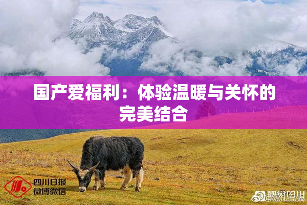 国产爱福利：体验温暖与关怀的完美结合