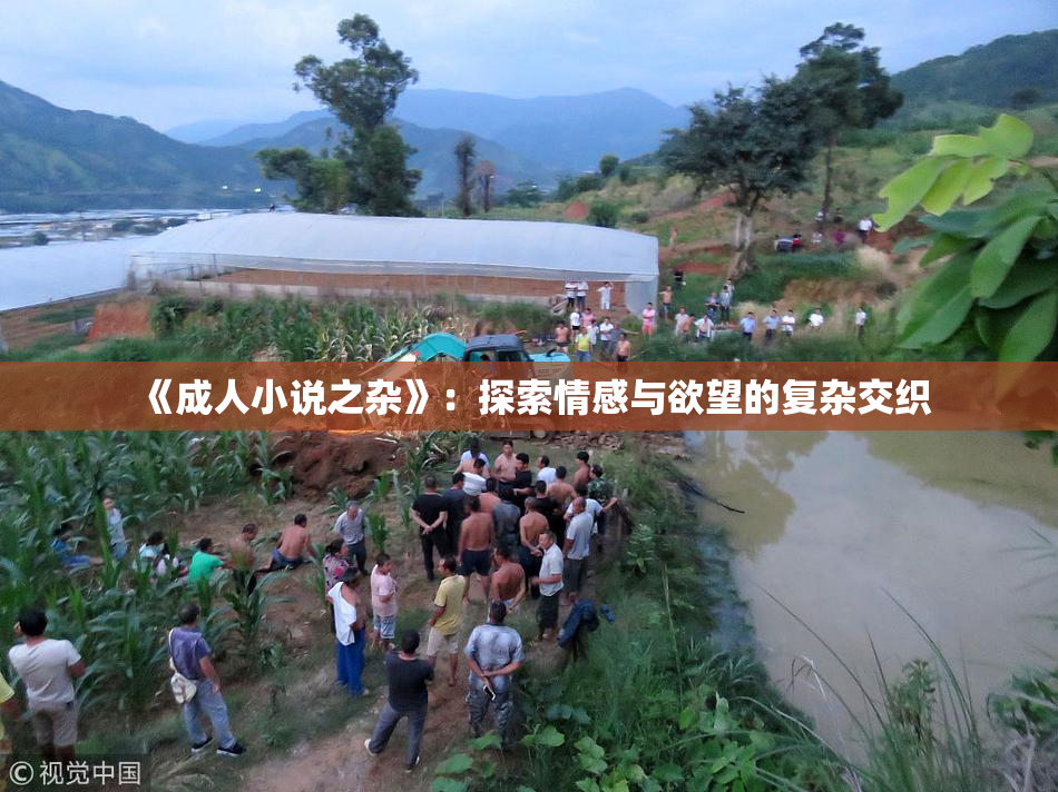 《成人小说之杂》：探索情感与欲望的复杂交织