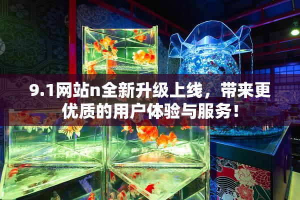 9.1网站n全新升级上线，带来更优质的用户体验与服务！