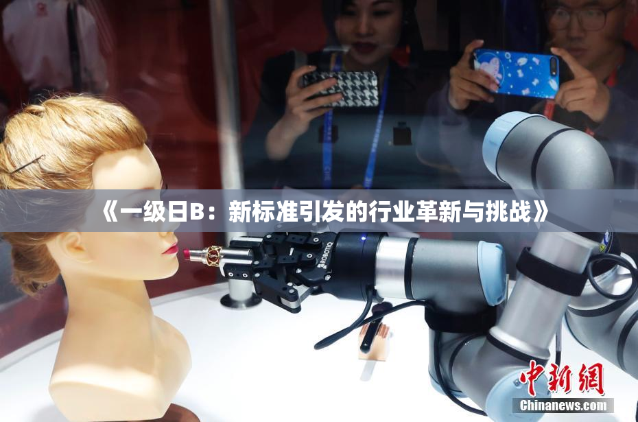 《一级日B：新标准引发的行业革新与挑战》