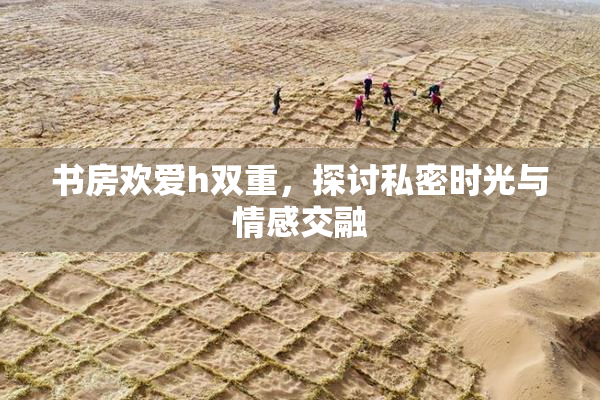 书房欢爱h双重，探讨私密时光与情感交融