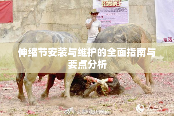 伸缩节安装与维护的全面指南与要点分析