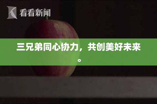 三兄弟同心协力，共创美好未来。