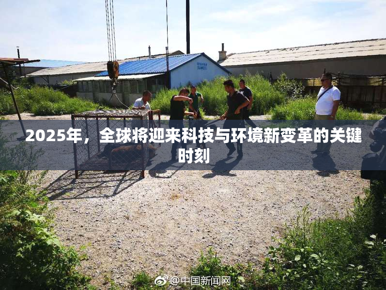 2025年，全球将迎来科技与环境新变革的关键时刻