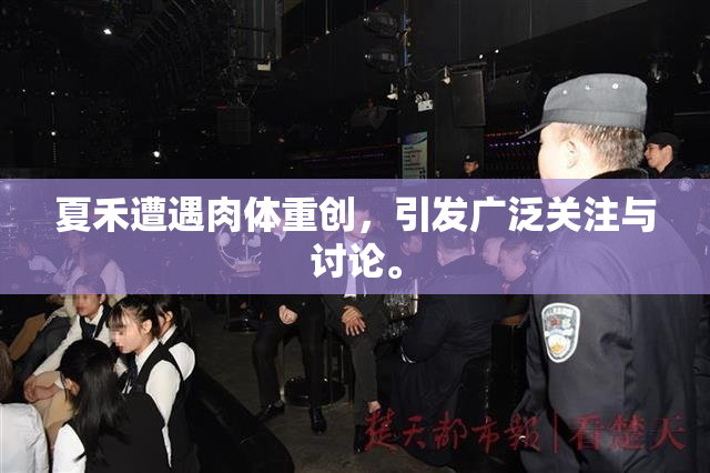 夏禾遭遇肉体重创，引发广泛关注与讨论。