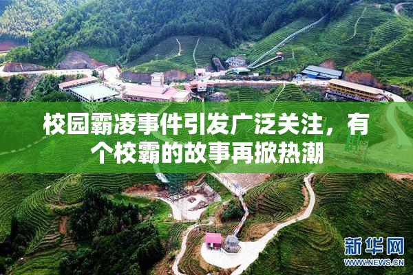 校园霸凌事件引发广泛关注，有个校霸的故事再掀热潮
