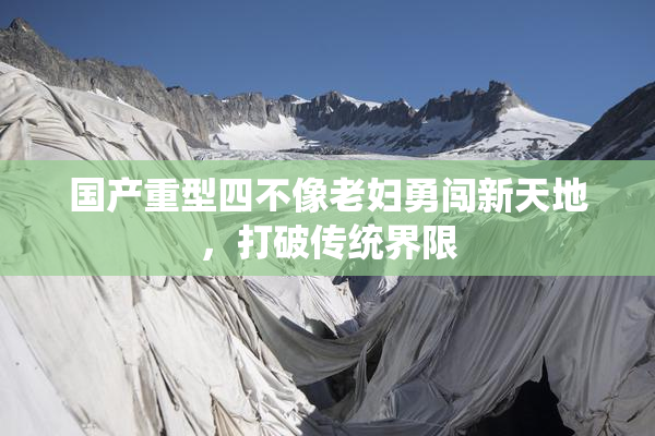 国产重型四不像老妇勇闯新天地，打破传统界限
