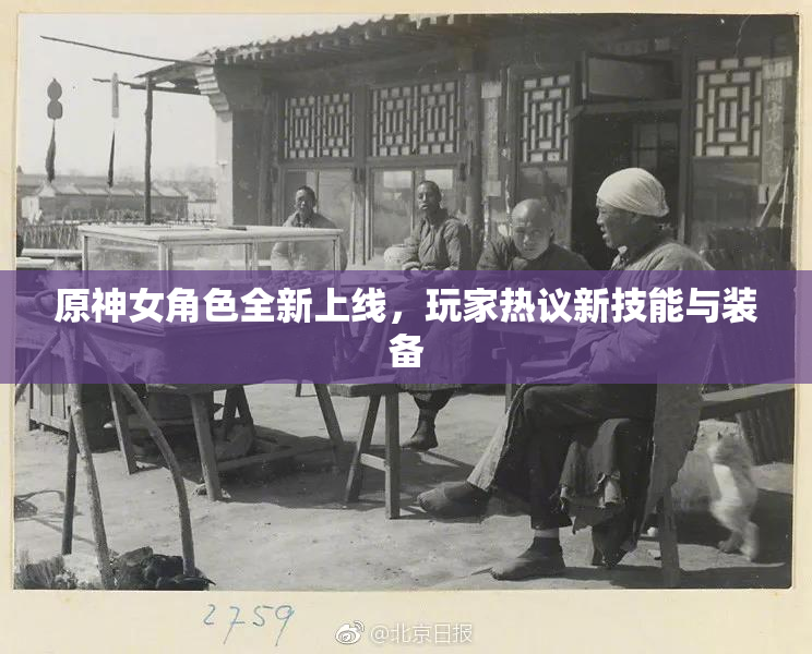 原神女角色全新上线，玩家热议新技能与装备