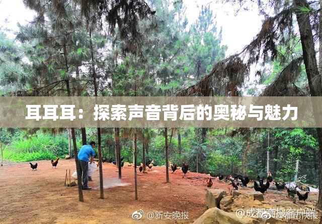耳耳耳：探索声音背后的奥秘与魅力