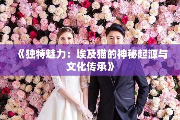 《独特魅力：埃及猫的神秘起源与文化传承》