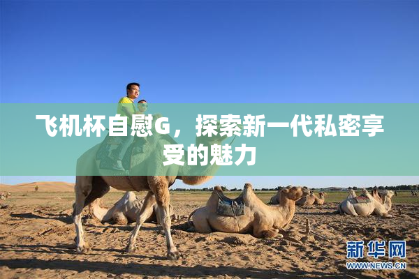 飞机杯自慰G，探索新一代私密享受的魅力