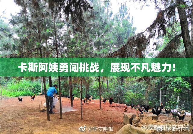卡斯阿姨勇闯挑战，展现不凡魅力！