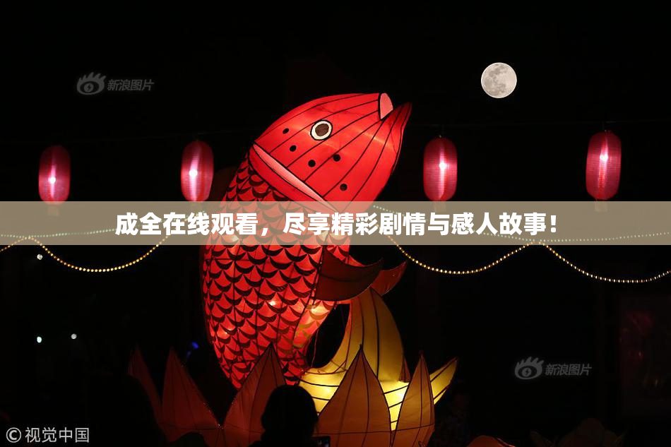 成全在线观看，尽享精彩剧情与感人故事！
