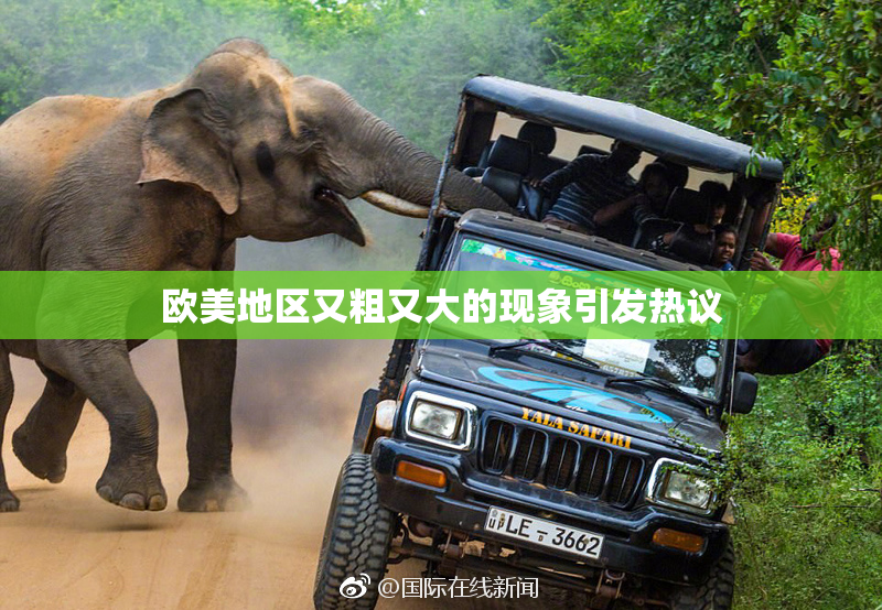 欧美地区又粗又大的现象引发热议