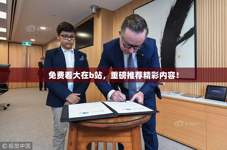 免费看大在b站，重磅推荐精彩内容！