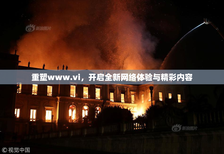 重塑www.vi，开启全新网络体验与精彩内容