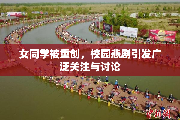 女同学被重创，校园悲剧引发广泛关注与讨论