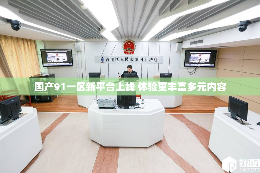国产91一区新平台上线 体验更丰富多元内容
