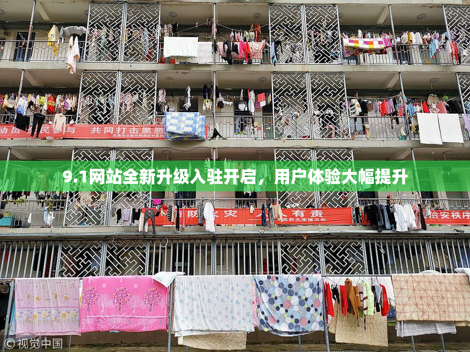 9.1网站全新升级入驻开启，用户体验大幅提升