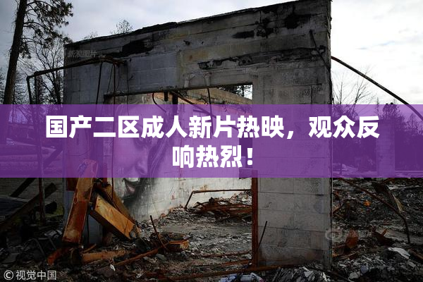 国产二区成人新片热映，观众反响热烈！