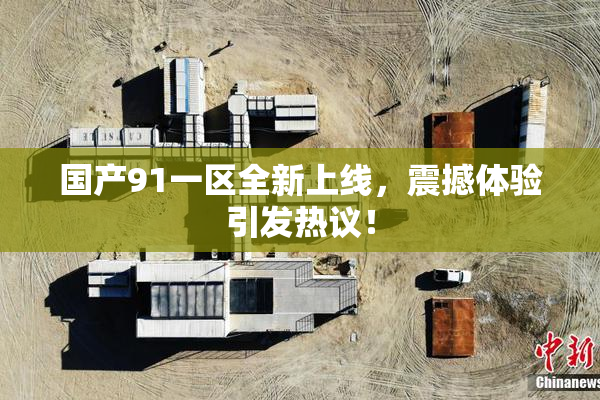 国产91一区全新上线，震撼体验引发热议！