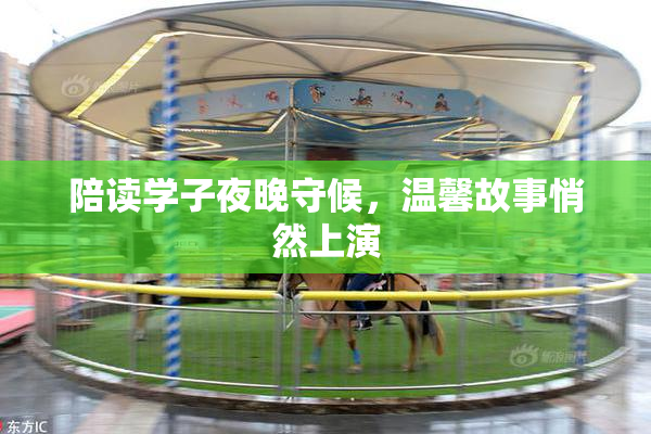 陪读学子夜晚守候，温馨故事悄然上演