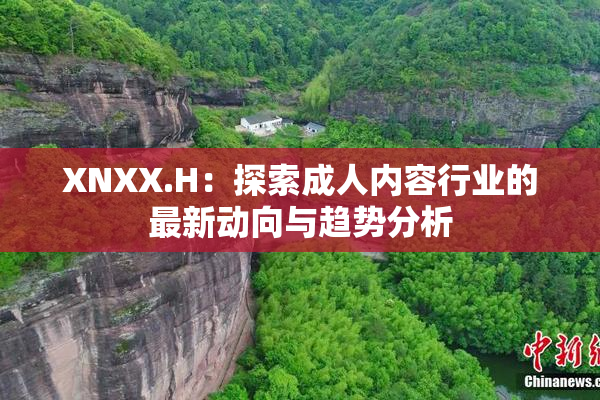 XNXX.H：探索成人内容行业的最新动向与趋势分析