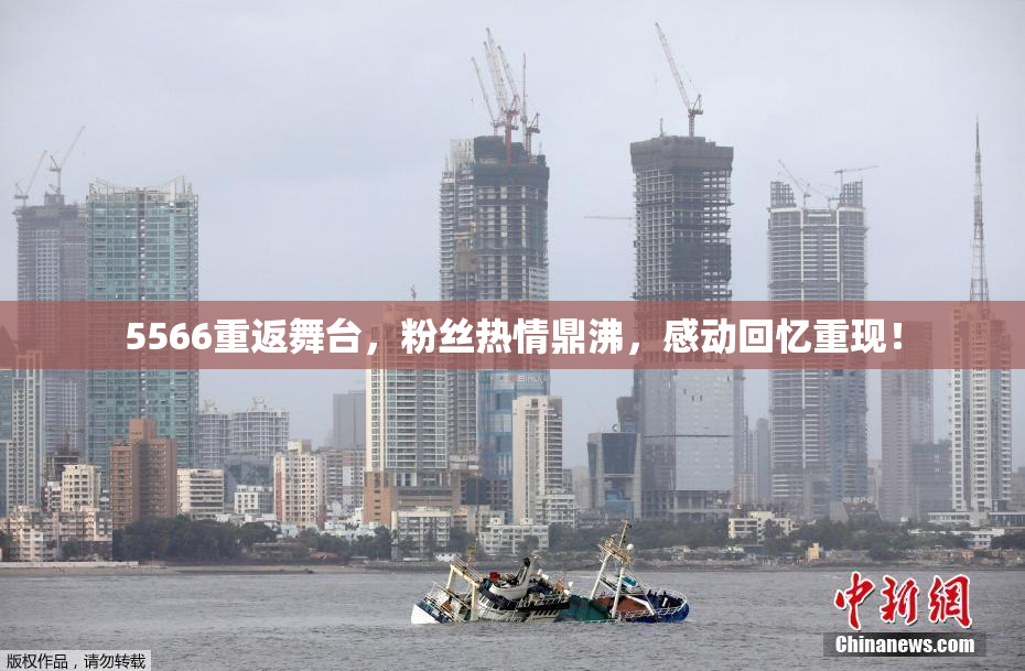 5566重返舞台，粉丝热情鼎沸，感动回忆重现！