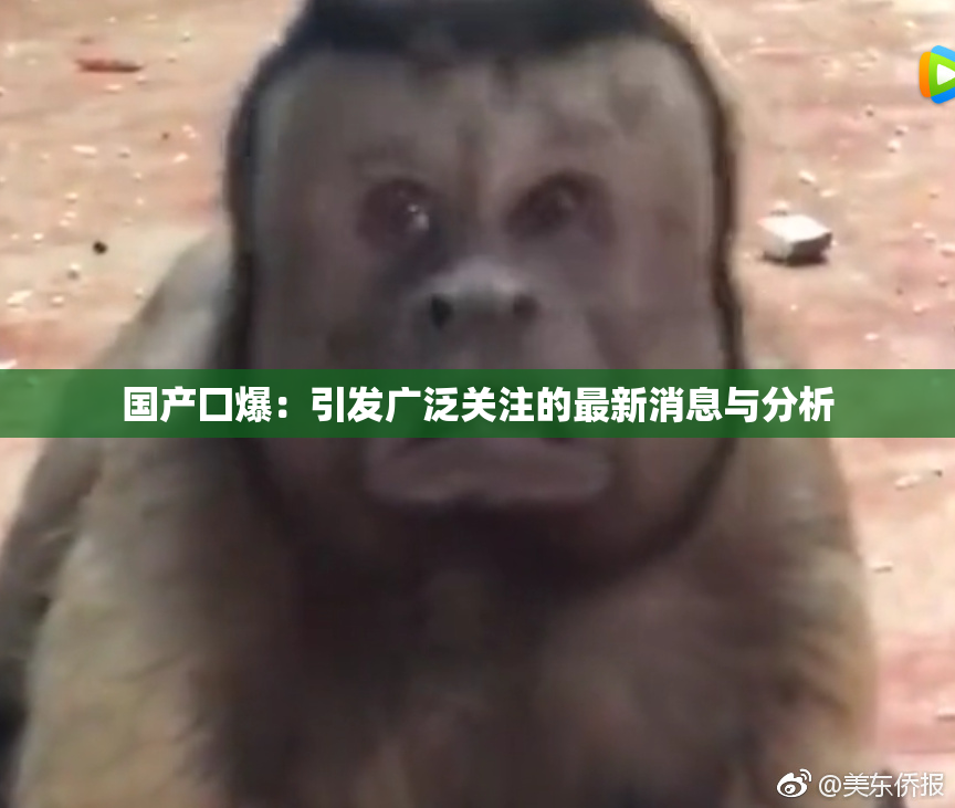 国产囗爆：引发广泛关注的最新消息与分析