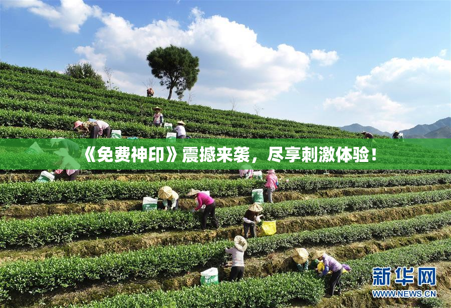 《免费神印》震撼来袭，尽享刺激体验！
