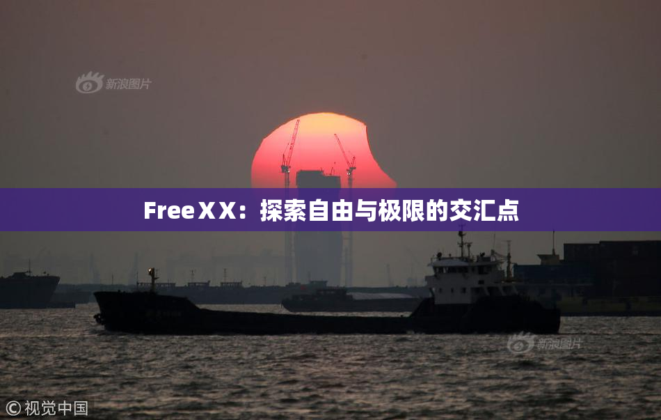 FreeⅩX：探索自由与极限的交汇点