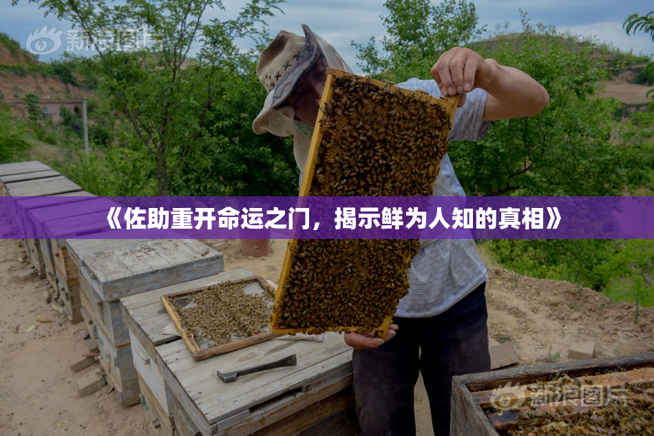《佐助重开命运之门，揭示鲜为人知的真相》