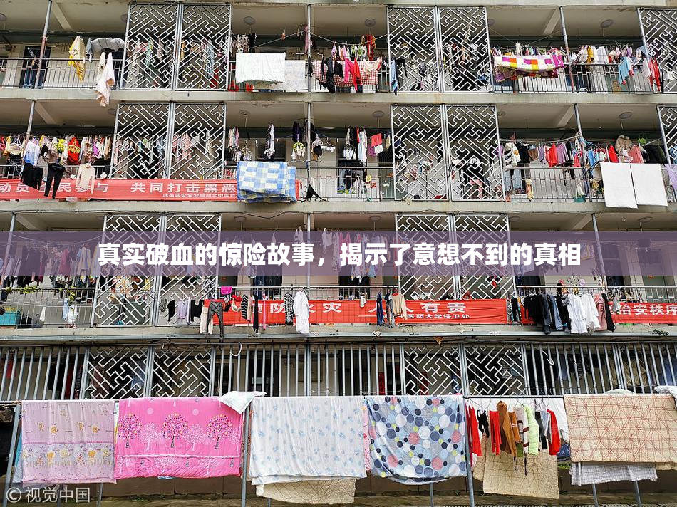 真实破血的惊险故事，揭示了意想不到的真相